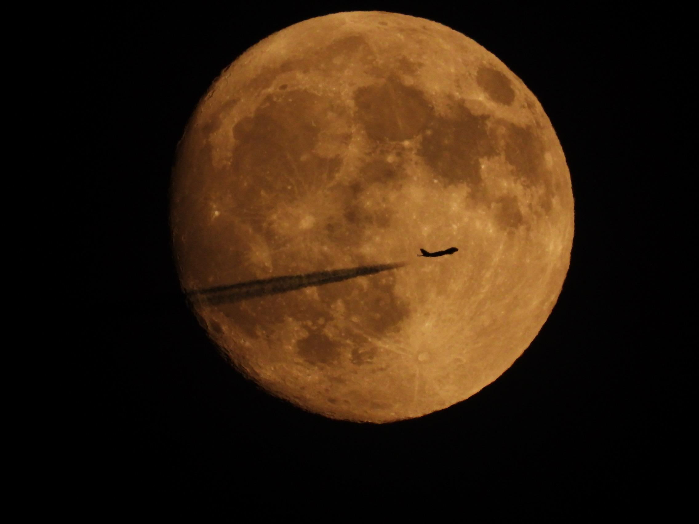 フォトコンテスト最優秀作品賞　高崎キャンパス　加部大貴さん