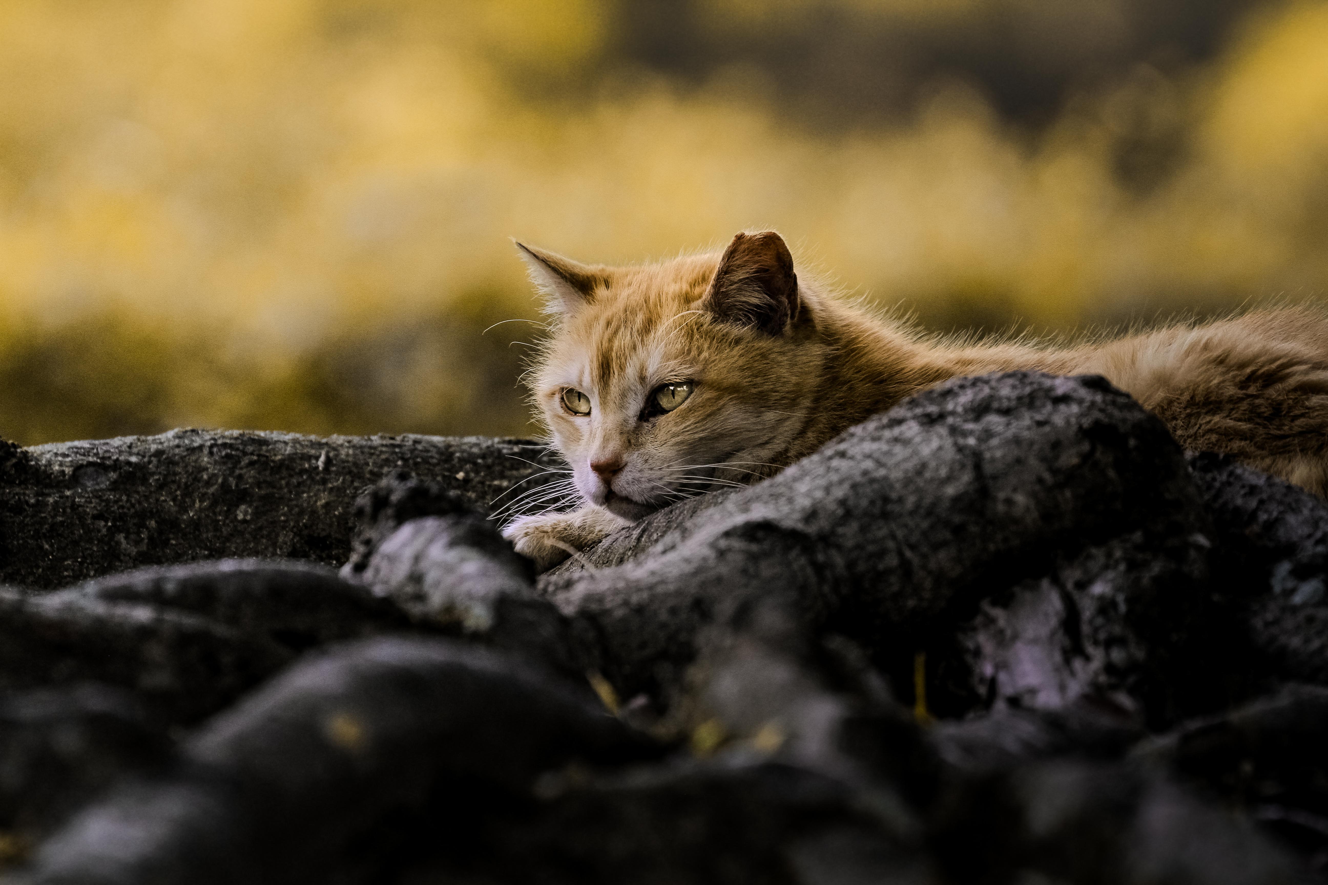 フォトコンテスト優秀作品　博多キャンパス　山田琉生さん