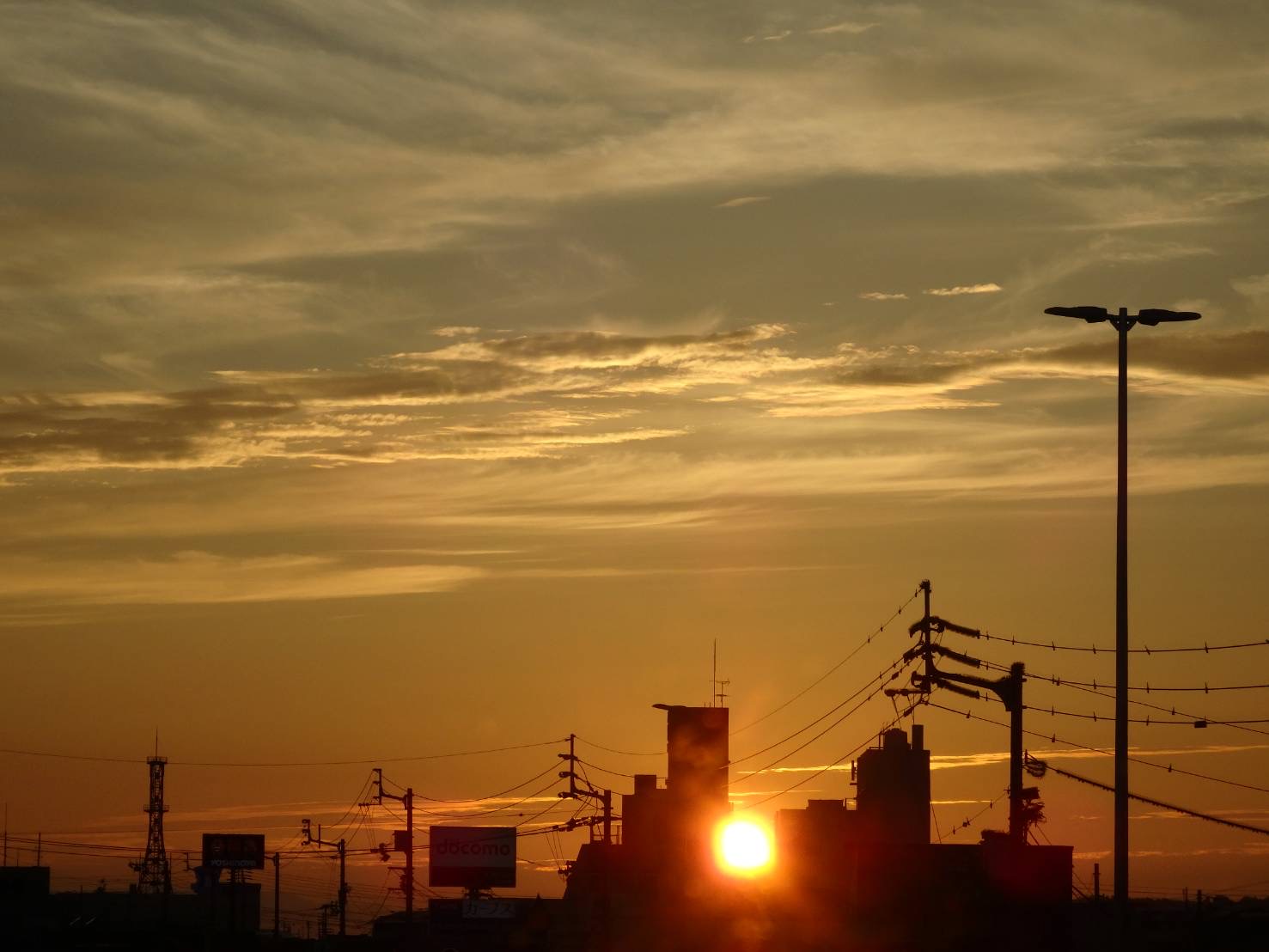 フォトギャラリー　写真1