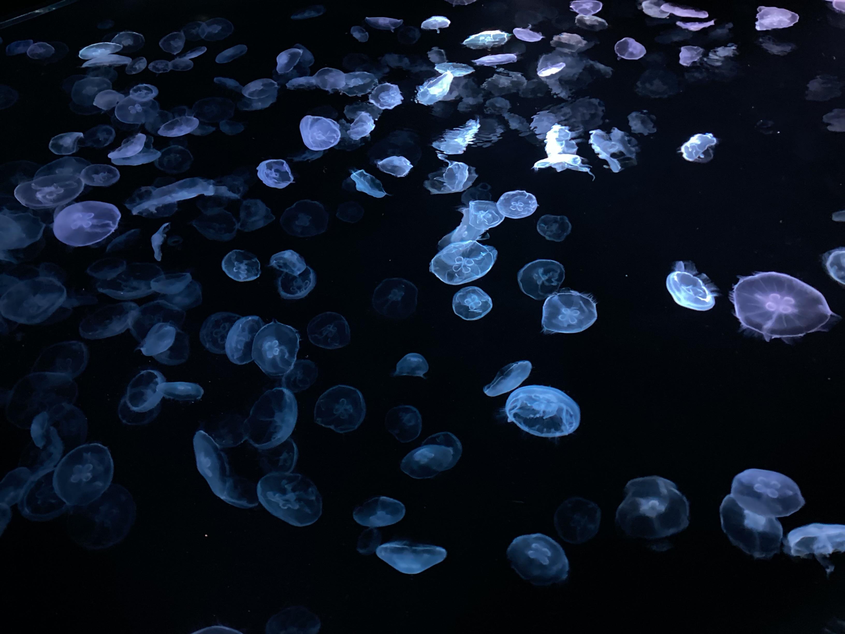 フォトギャラリー　写真2