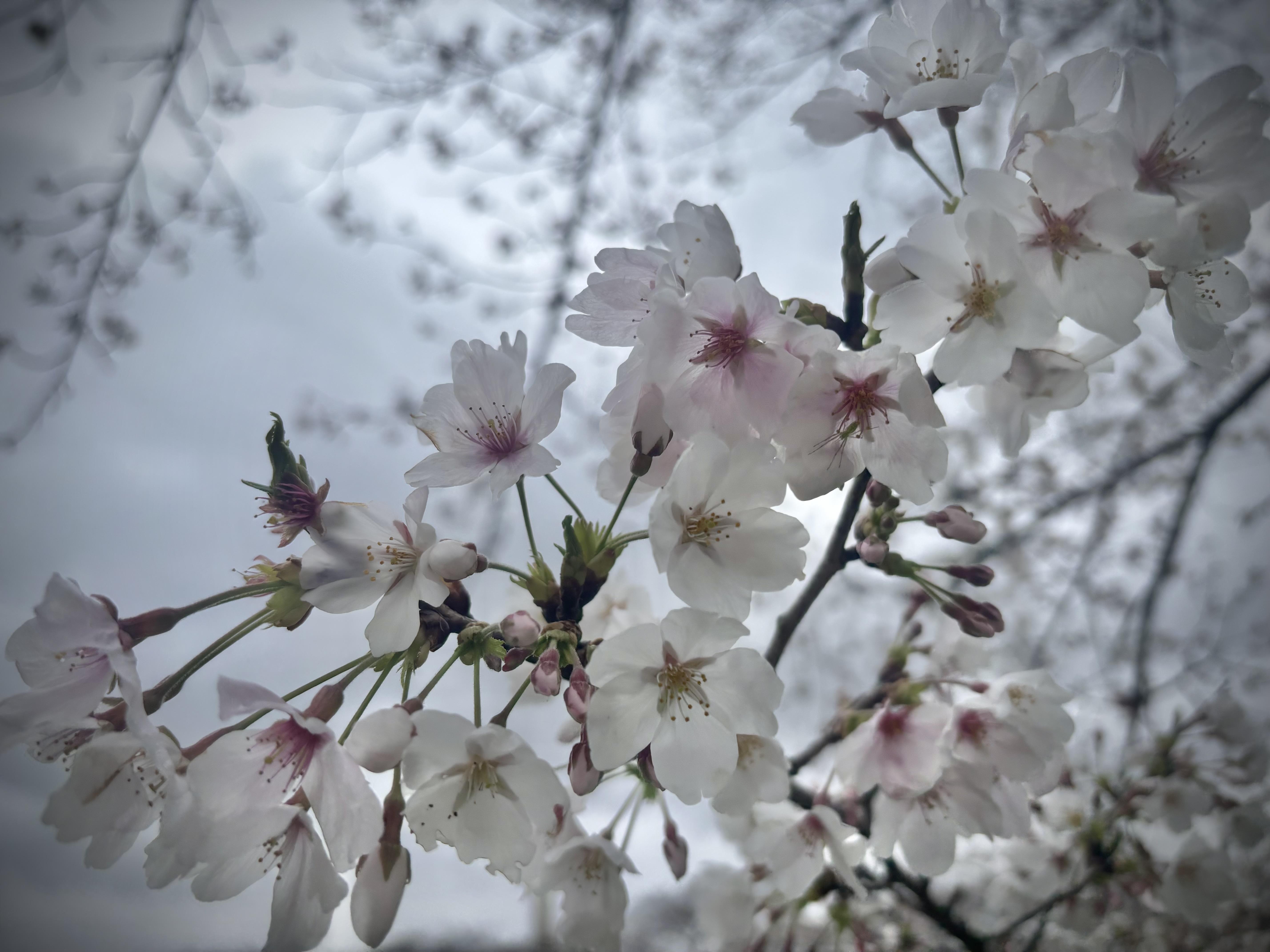 フォトギャラリー　写真3