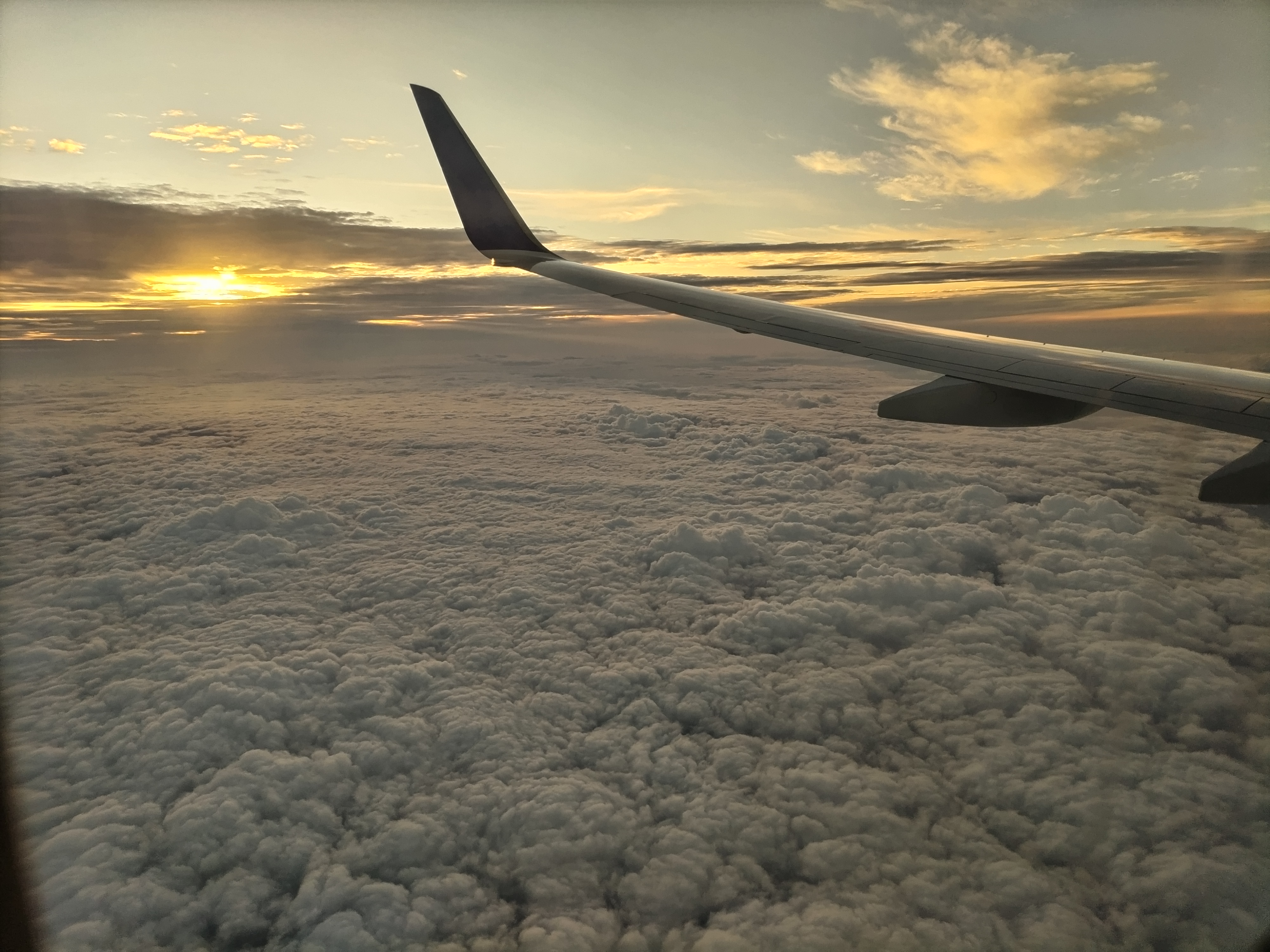 フォトギャラリー　写真4