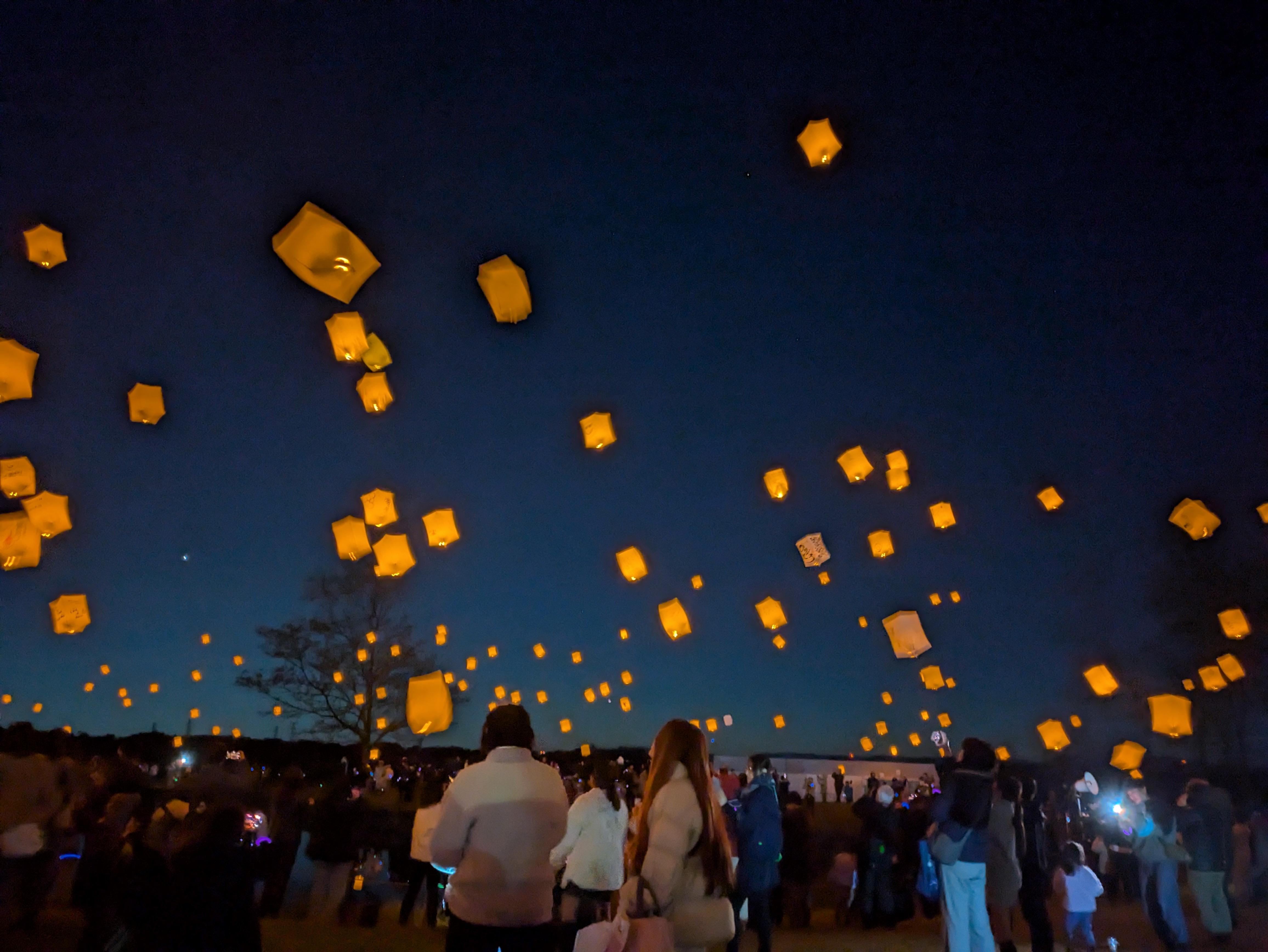 フォトギャラリー　写真12