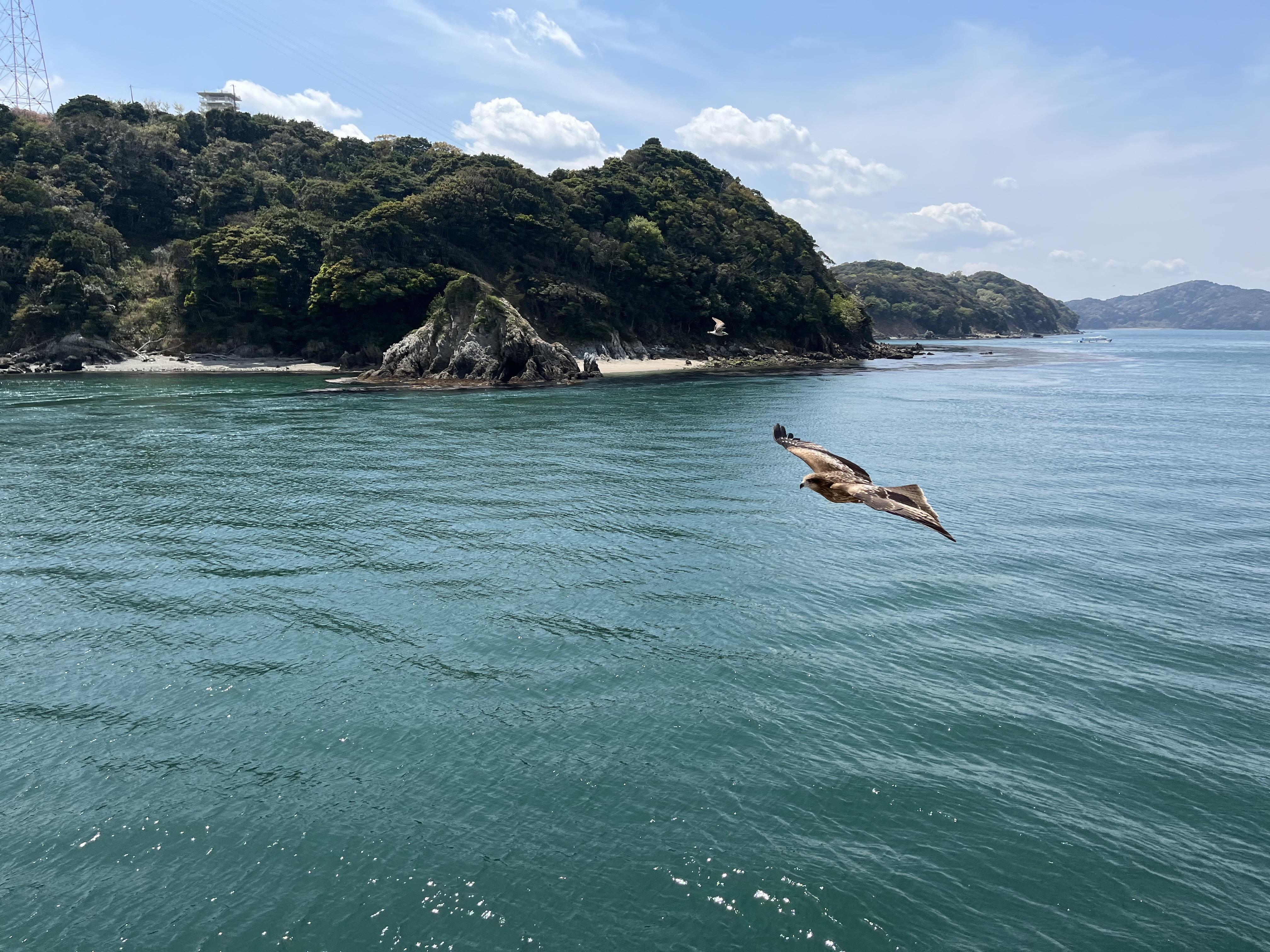 フォトギャラリー　写真13