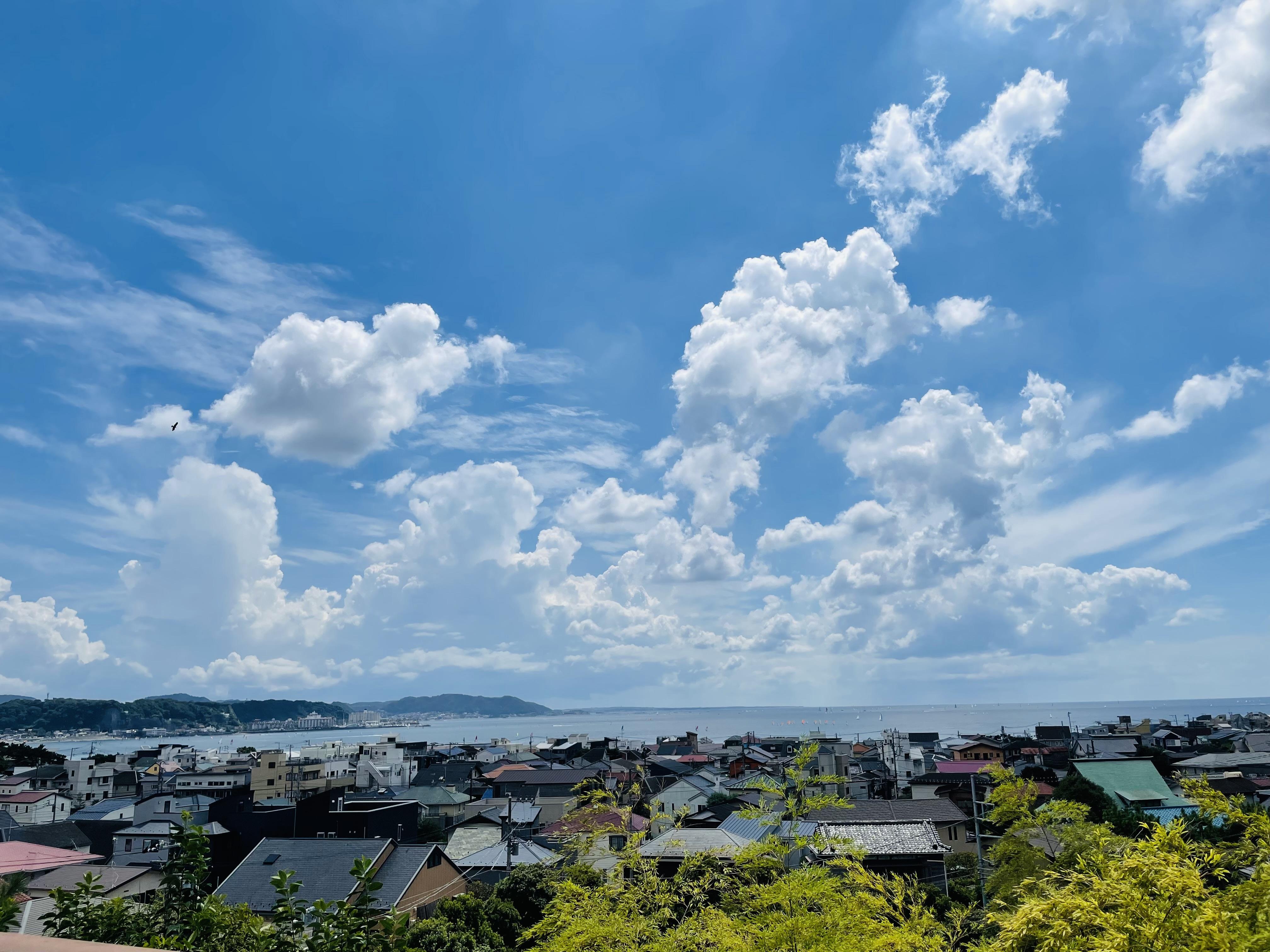 フォトギャラリー　写真16