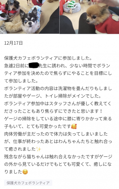 大阪梅田キャンパス通信 保護犬カフェボランティア 大阪梅田キャンパス 通信制高校 単位制 なら第一学院高等学校