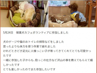 ボランティア活動 保護犬カフェに行ってきました 大阪梅田キャンパス 通信制高校 単位制 なら第一学院高等学校