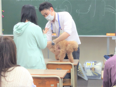 第一学院 コミュニティ共育 夢授業 福岡eco動物海洋専門学校さん インターナショナルアカデミーさんとの連携講座 博多キャンパス 通信制高校 単位制 なら第一学院高等学校 第一学院 コミュニティ共育 夢授業 福岡eco動物海洋専門学校さん インターナショナルアカデミーさんとの連携講座 博多キャンパス 通信制高校 単位制 なら第一学院高等学校