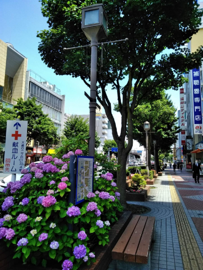 中学生のみなさんへ オープンスクール 盛岡キャンパス 通信制高校 単位制 なら第一学院高等学校 中学生のみなさんへ オープンスクール 盛岡キャンパス 通信制高校 単位制 なら第一学院高等学校