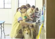 ペットコース
